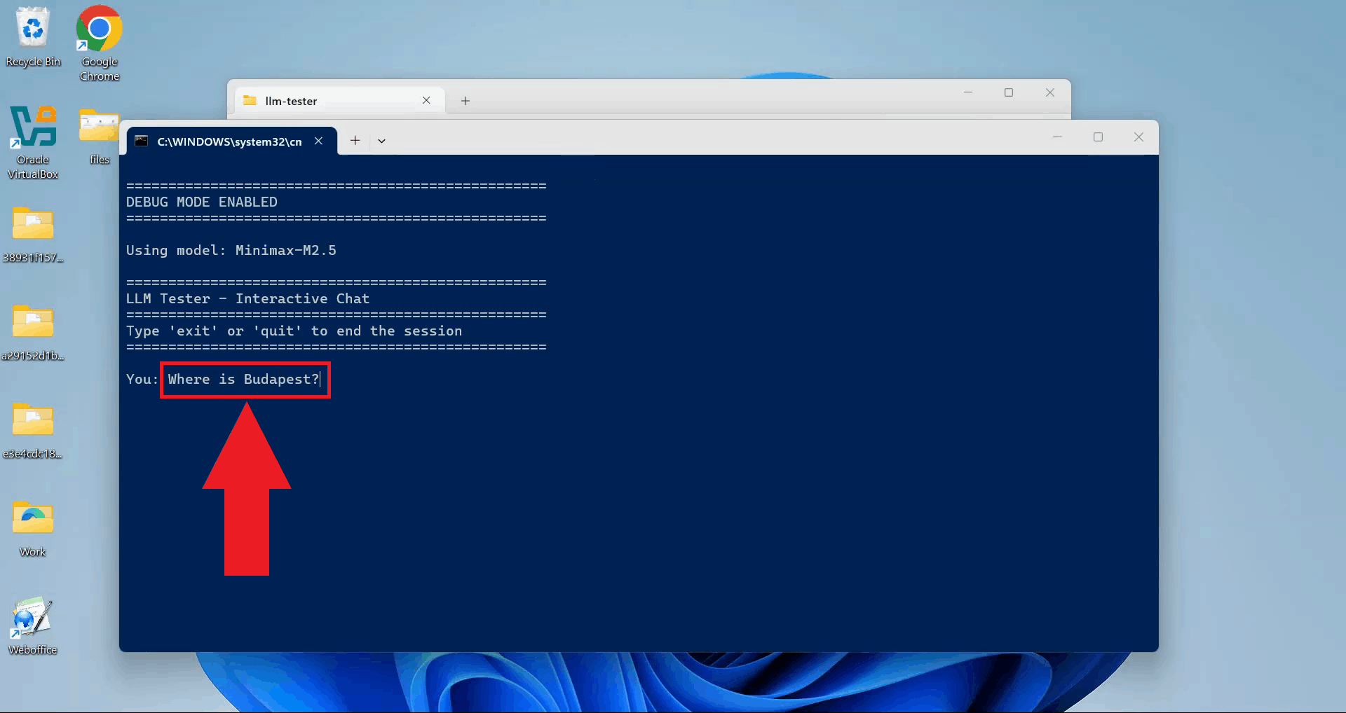 Enter and send test prompt