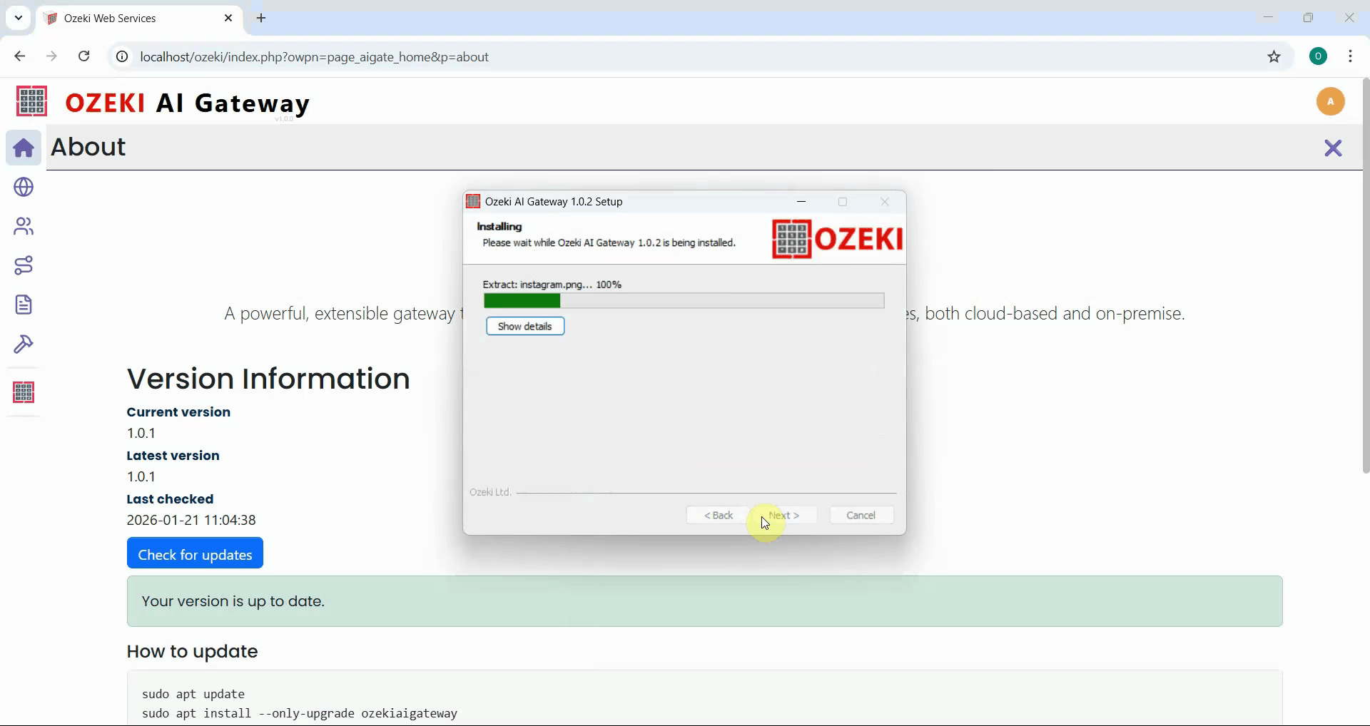 Installation in progress