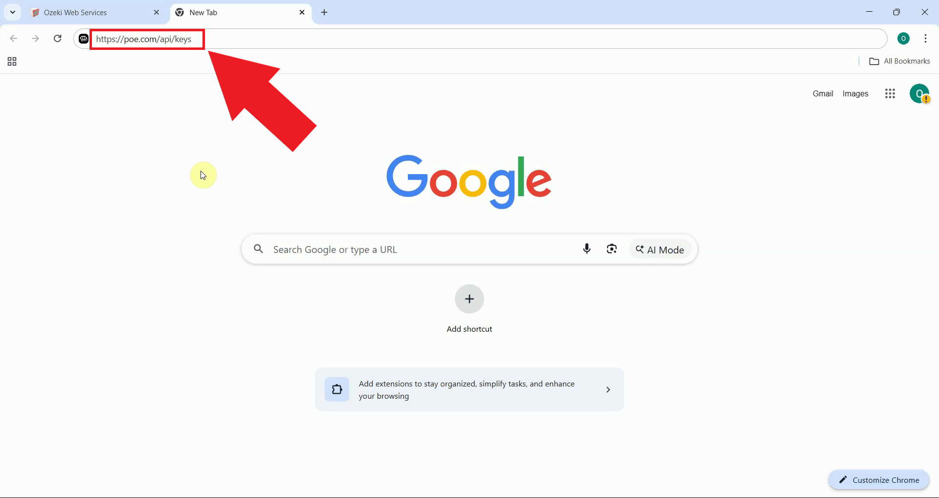 Open POE API keys page