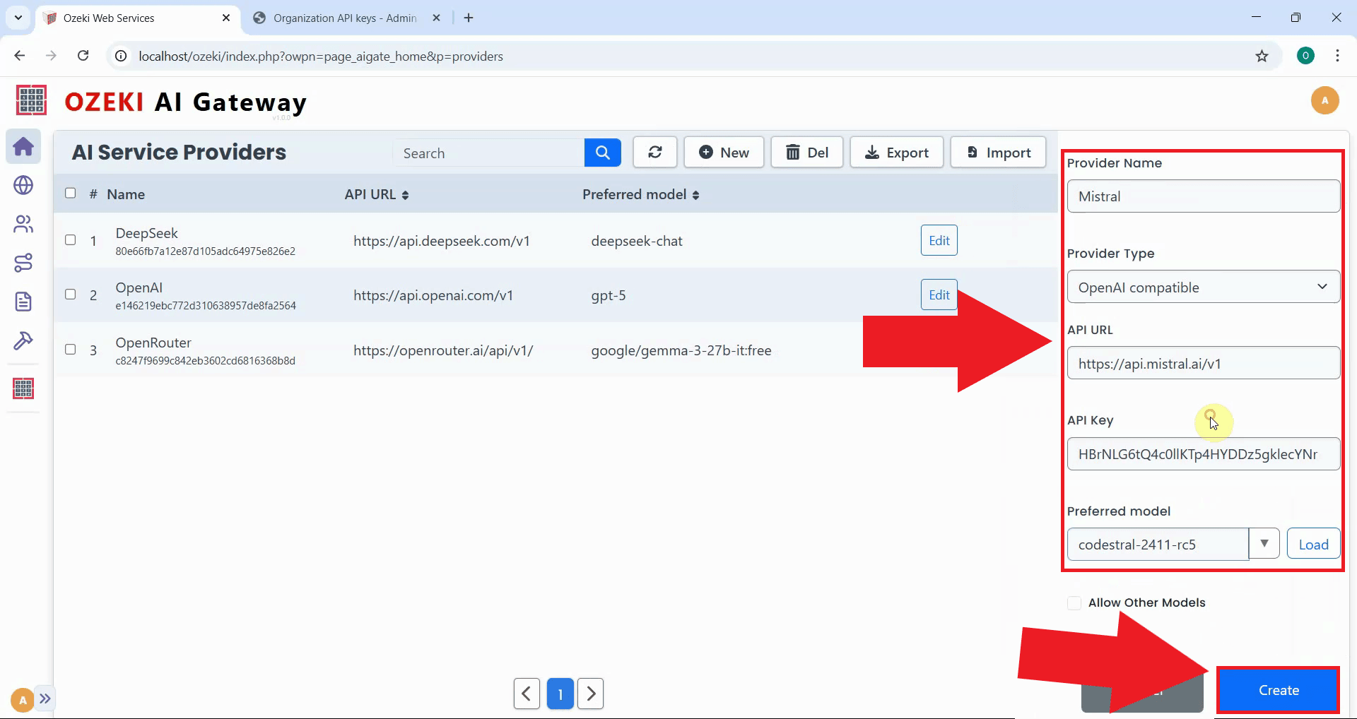 Enter Mistral provider details