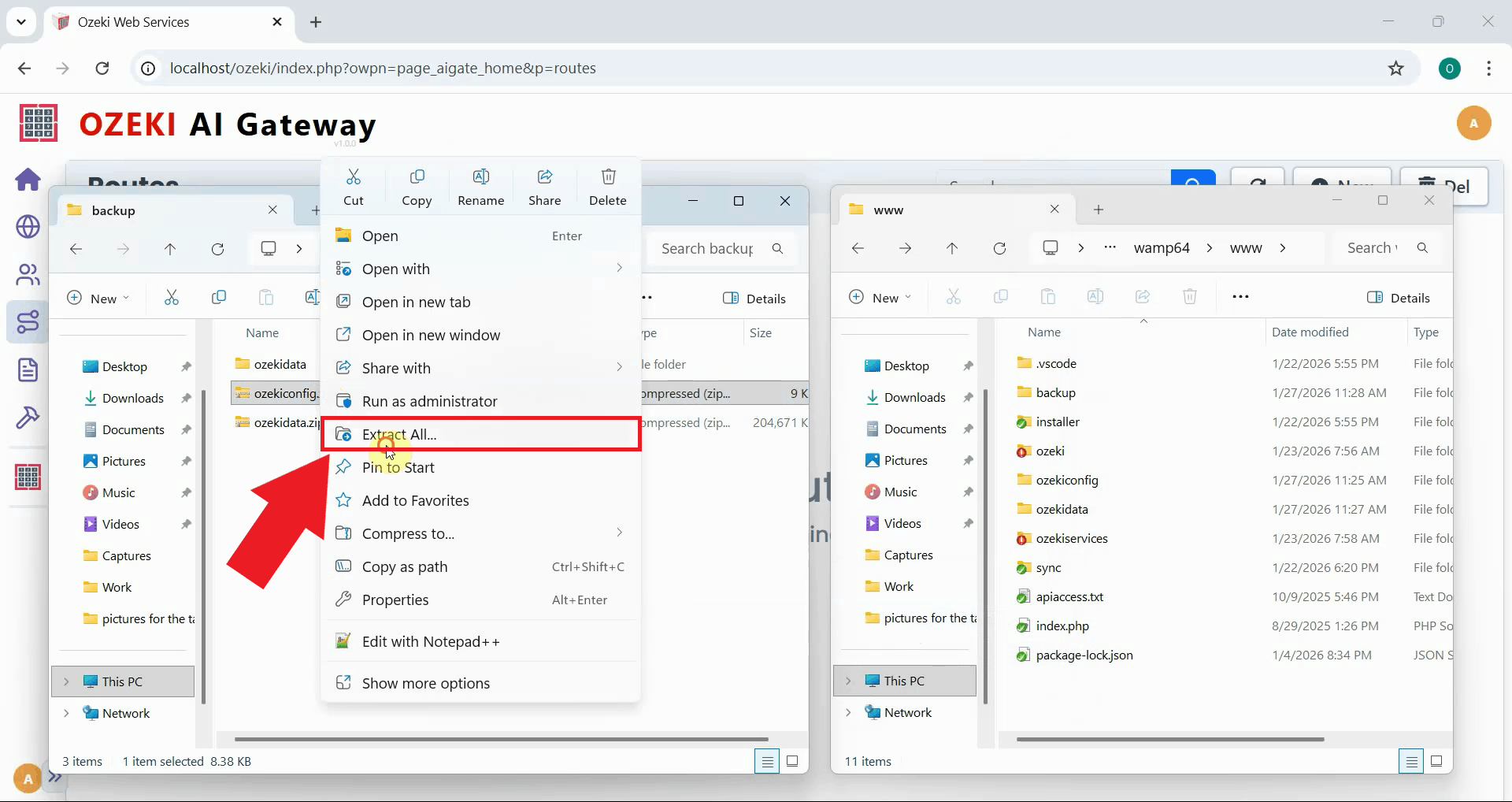 Extract config backup