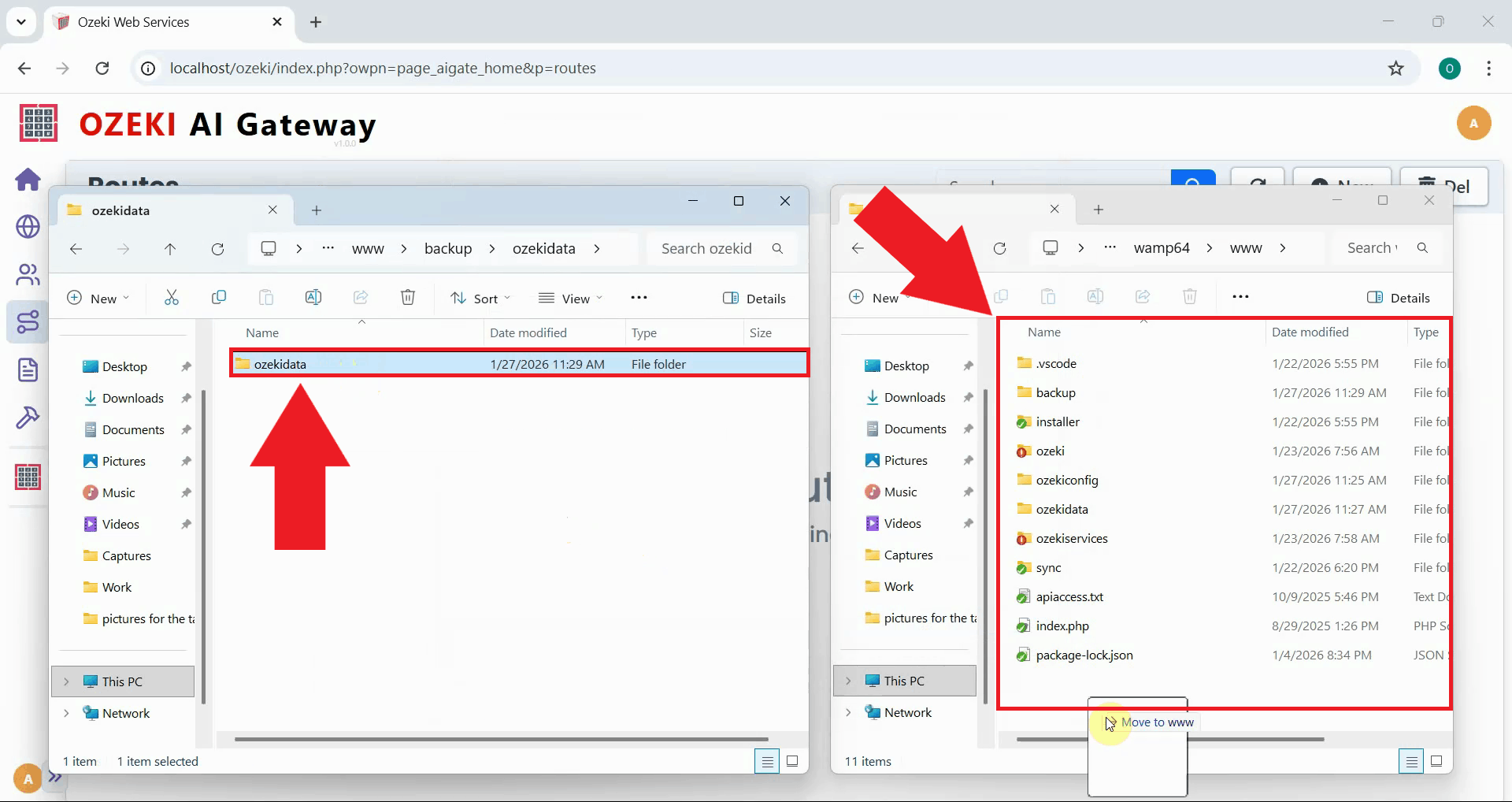 Move data to www folder