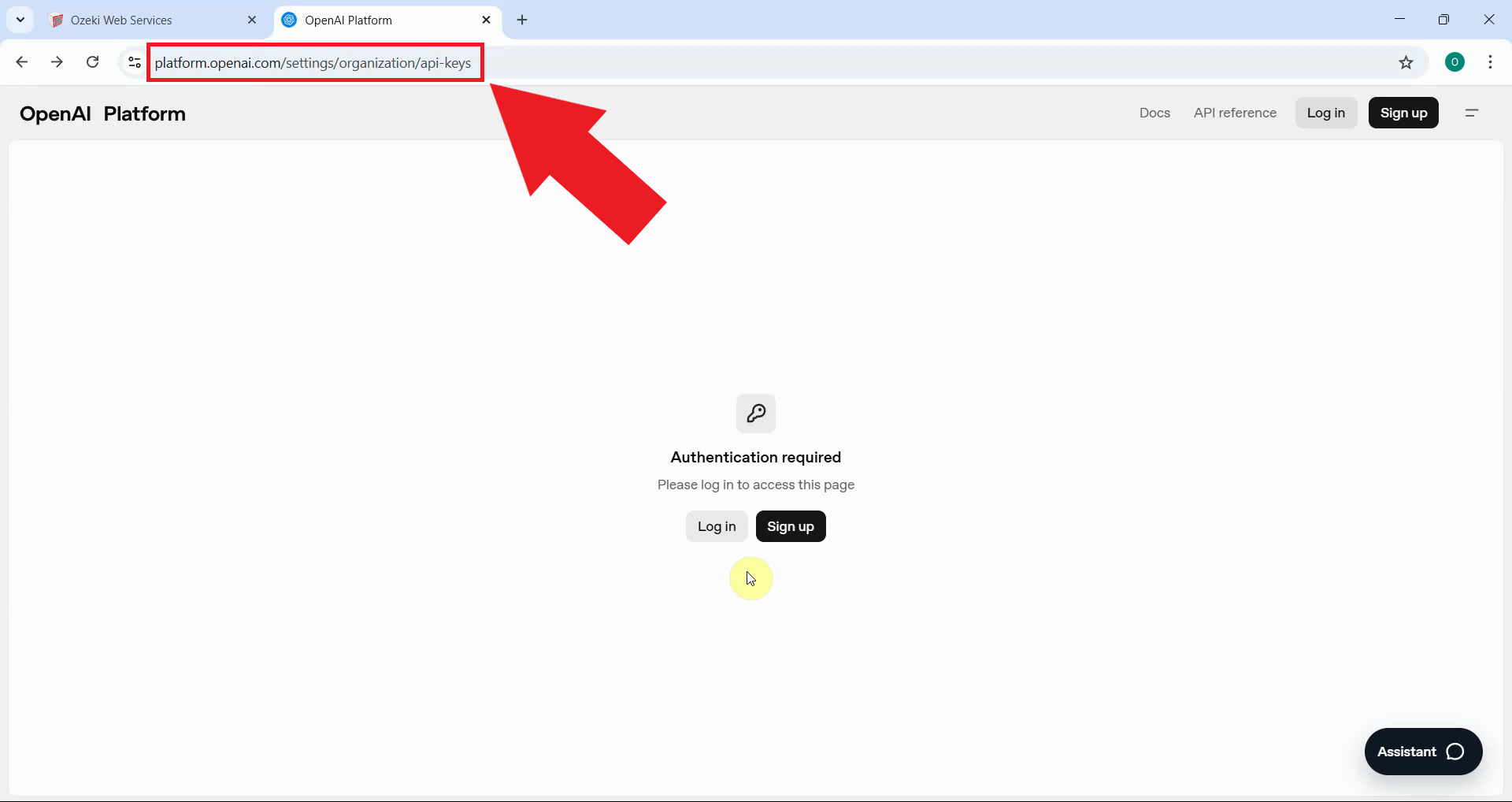 Open OpenAI platform