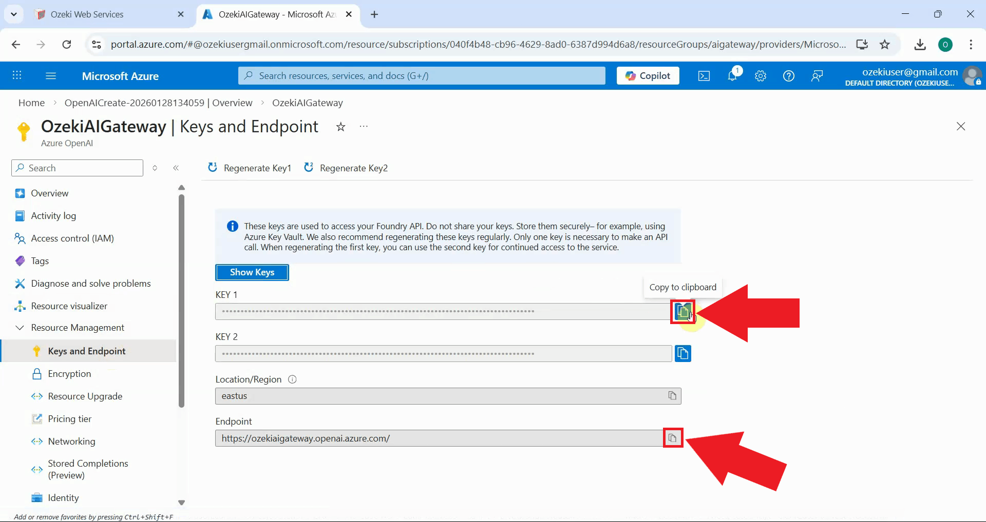Copy API key and endpoint