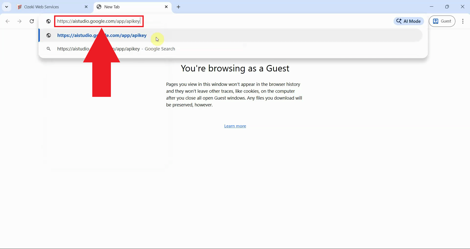 Open Google AI Studio