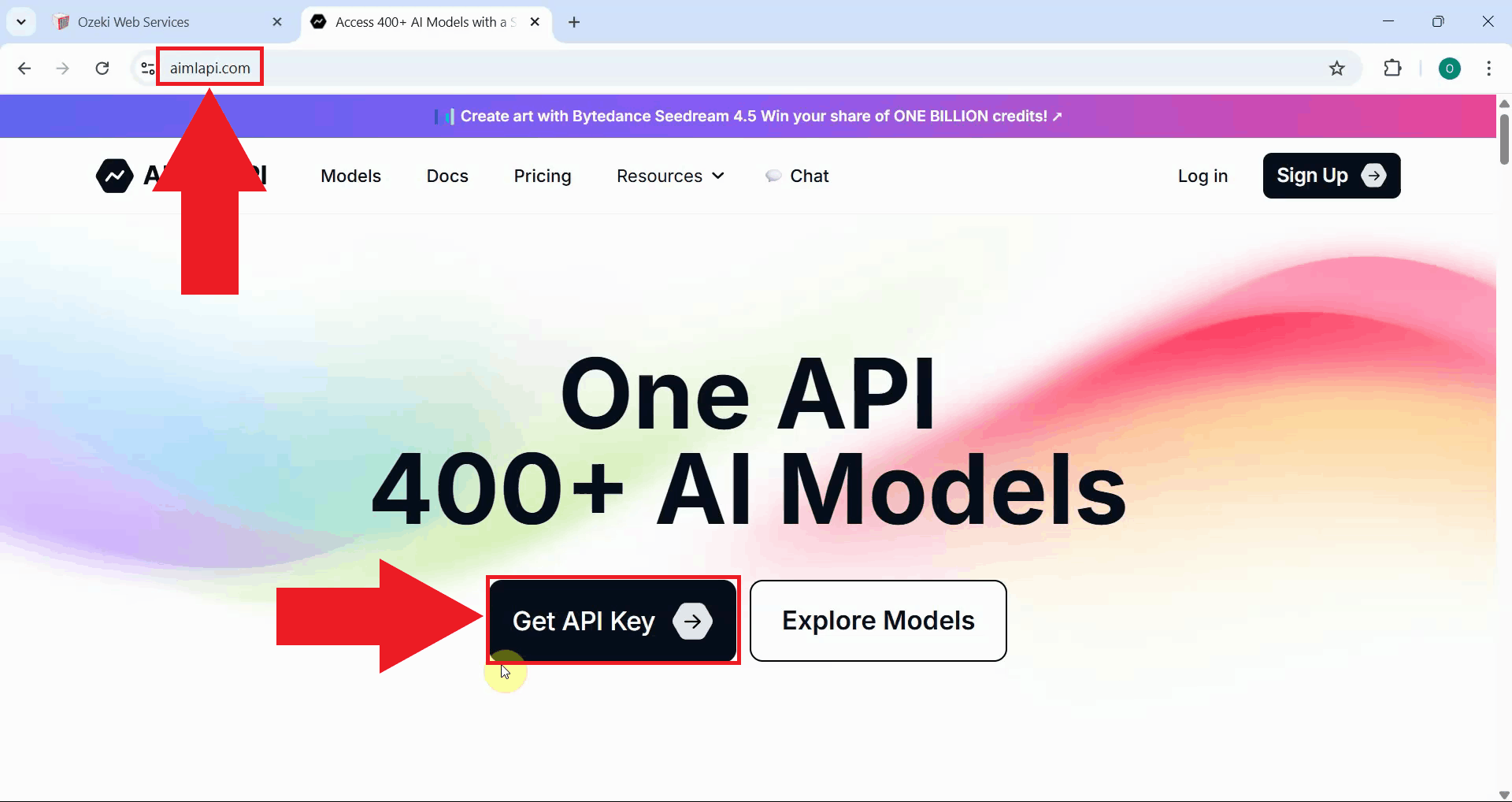Open AI/ML API page