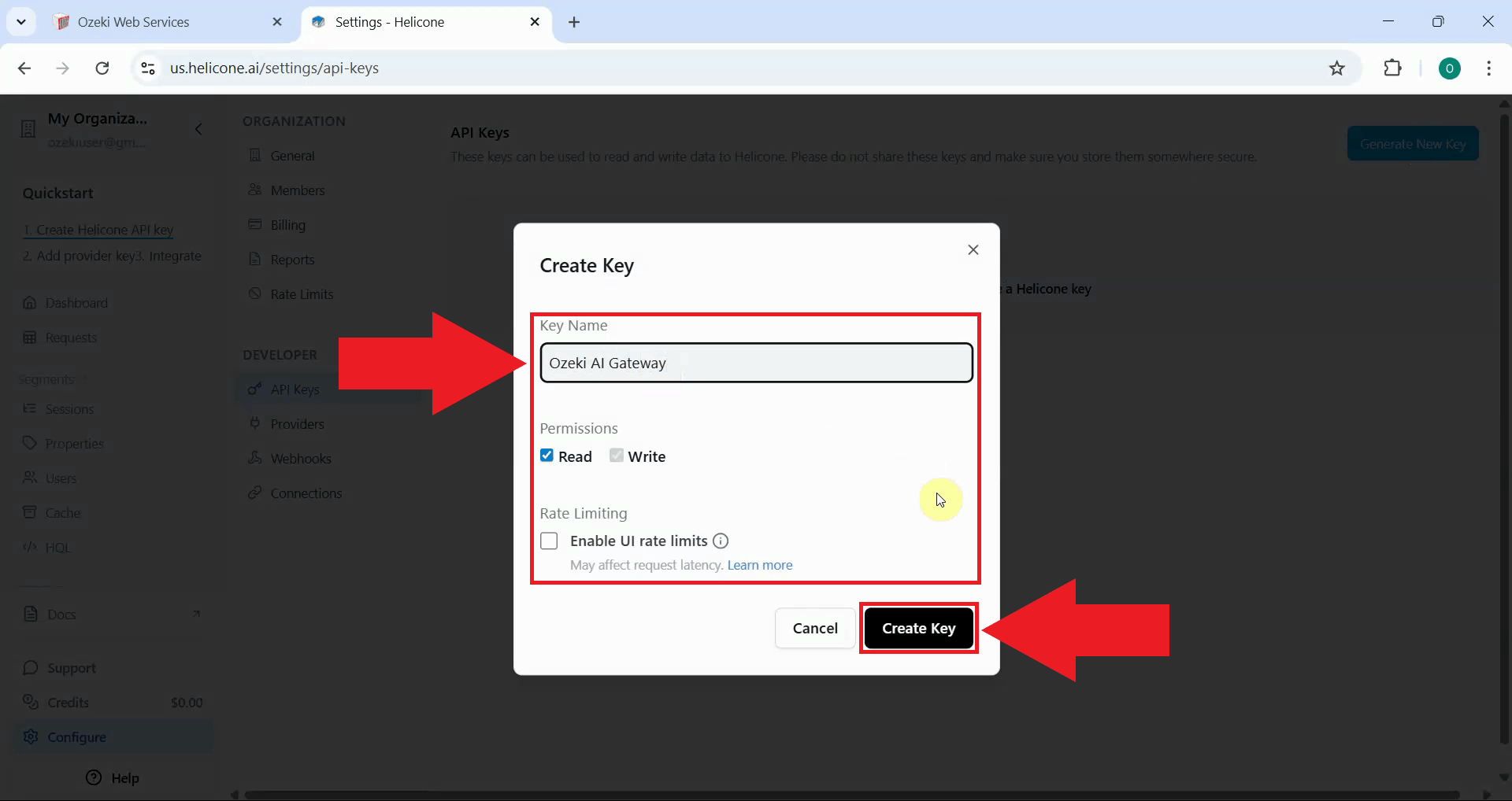 Enter provider API key details