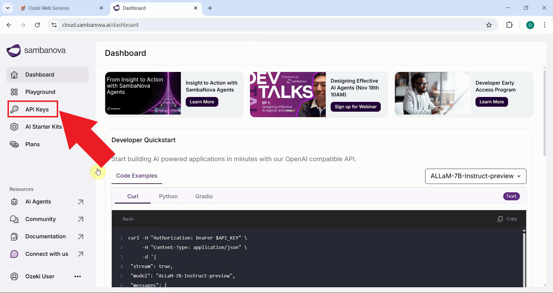 Click API Keys from the left sidebar