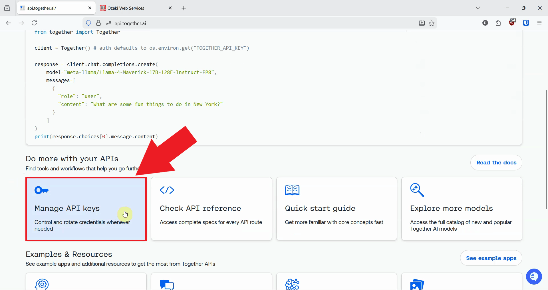 Go to Manage API Keys