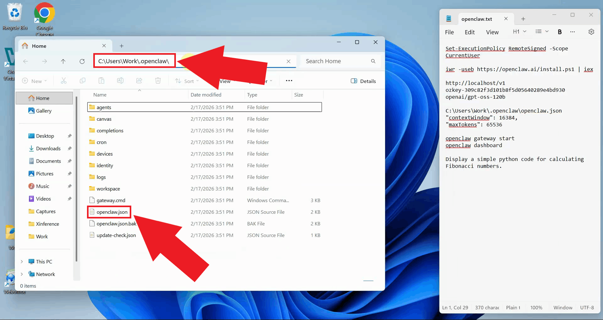 Open OpenClaw JSON config file