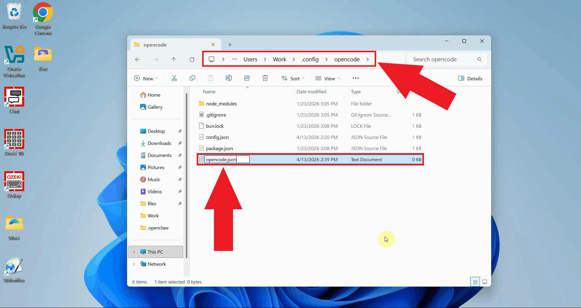 Create and open the Open Code config in a text editor