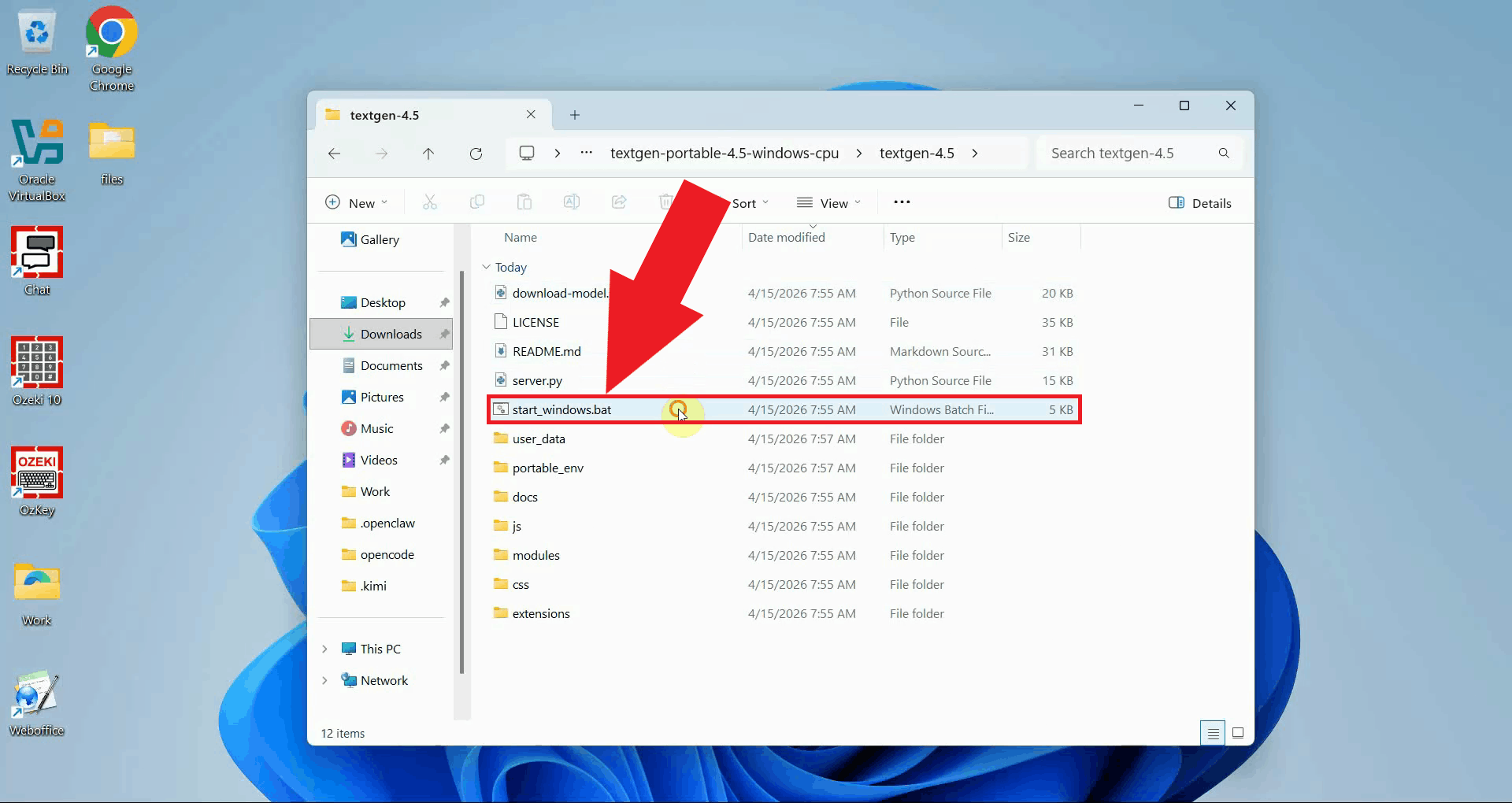 Run start_windows.bat in the extracted folder