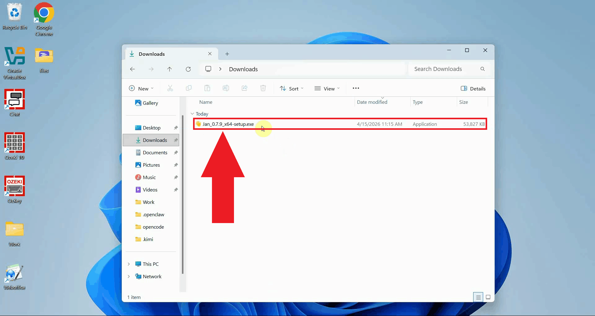 Start the Jan installer