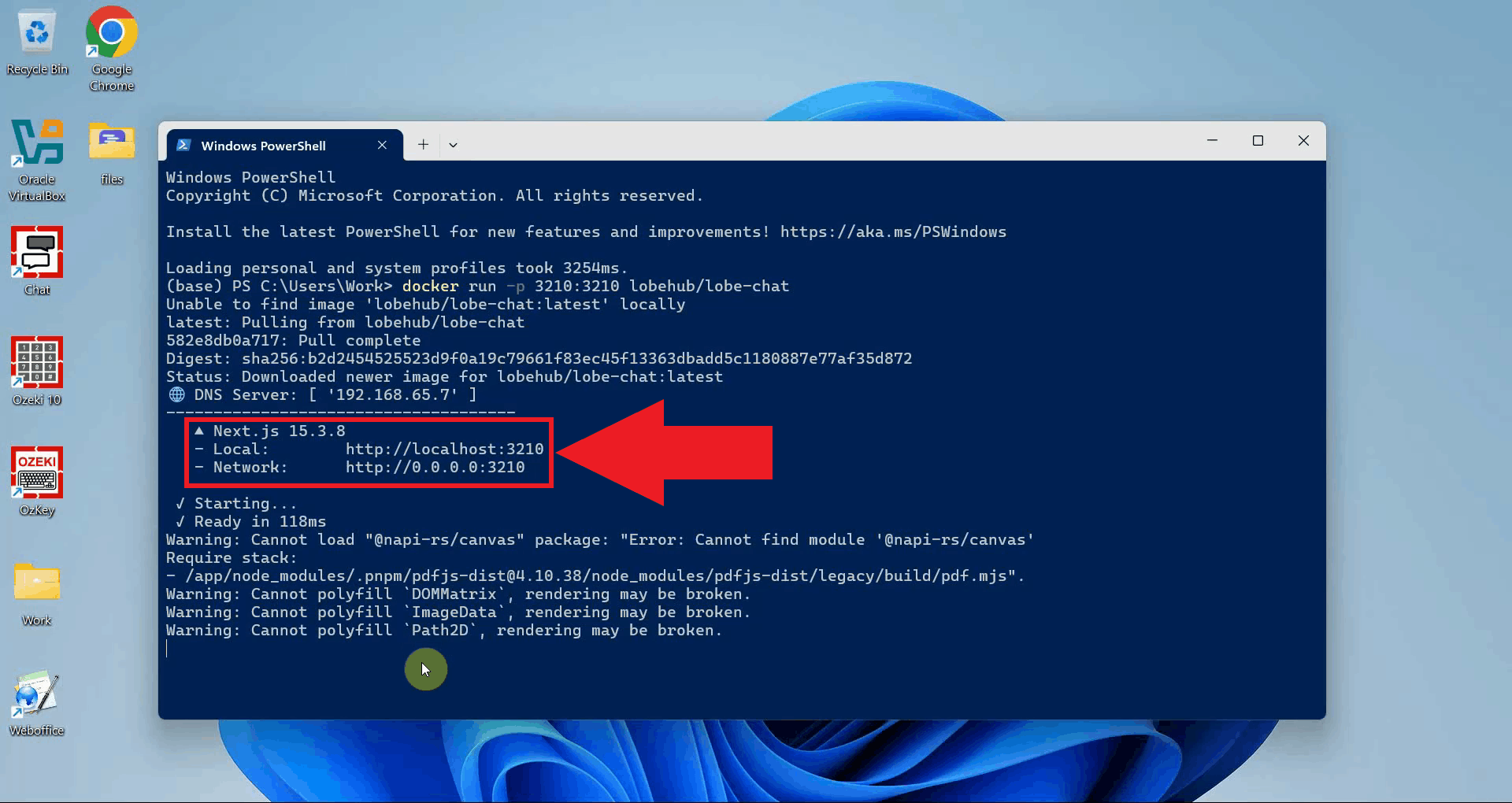 Wait for LobeChat to start and open the URL